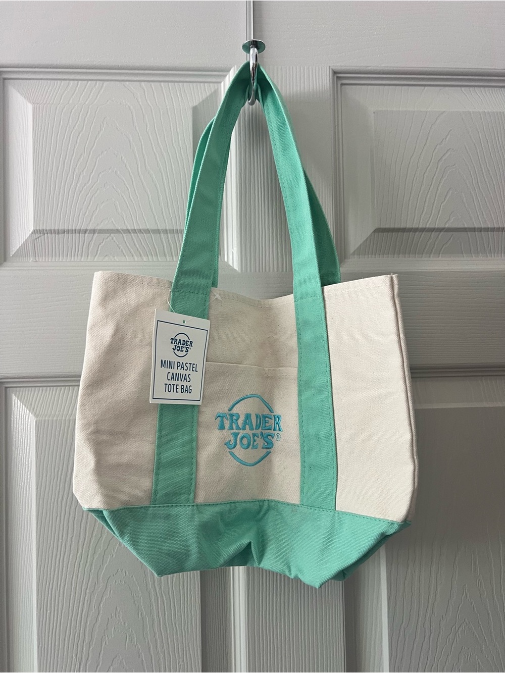 Trader Joe's Mini Canvas Tote Bag in Mint and Cream